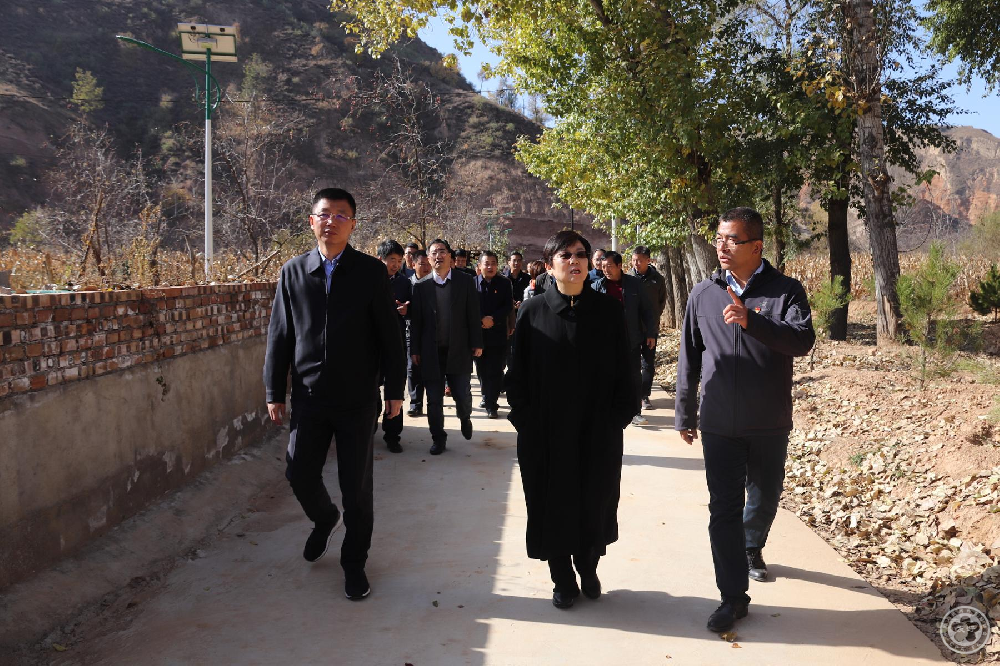 2、李小林会长一行赴沙壕村实地调研考察.jpg