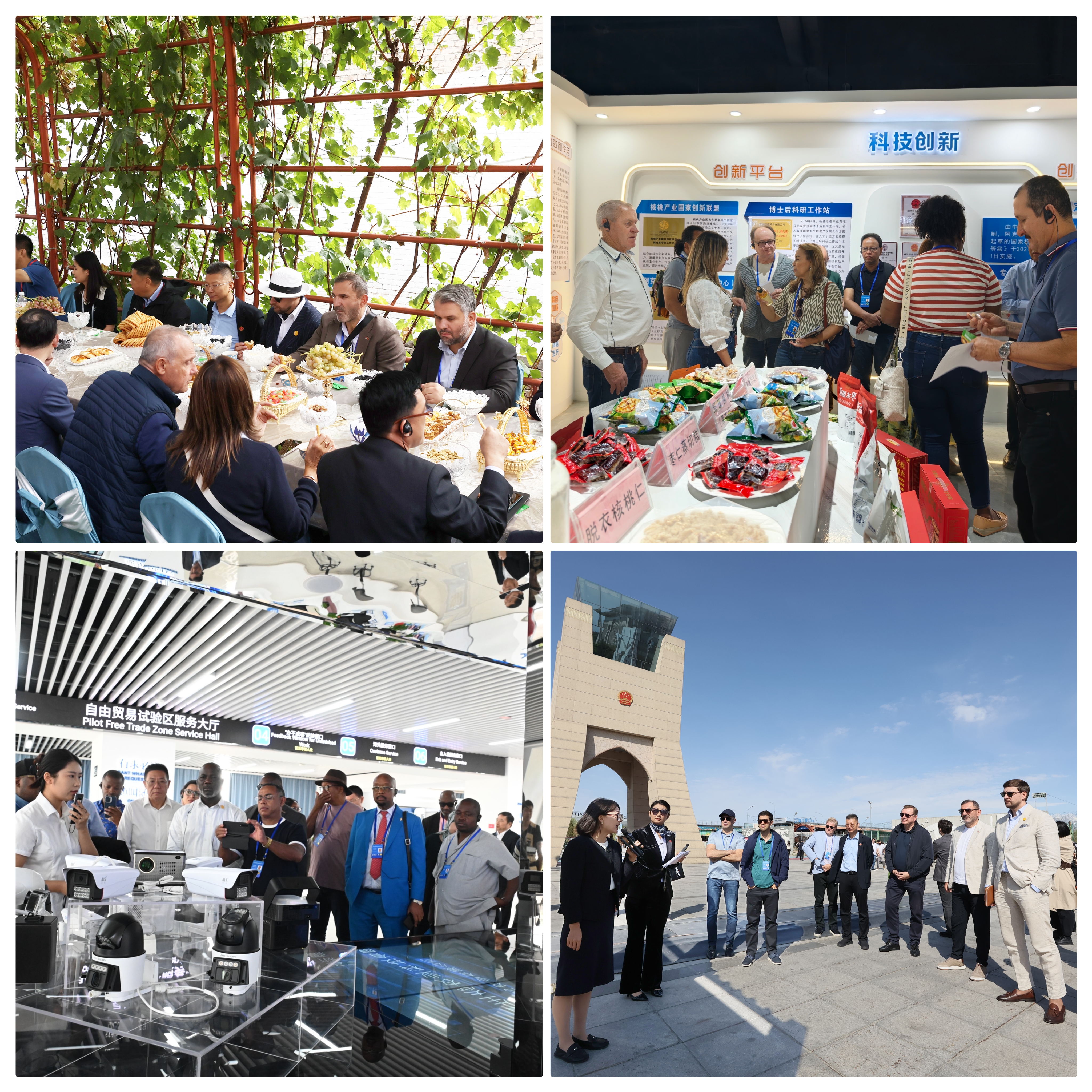 1760065393165208.jpg 5.jpg